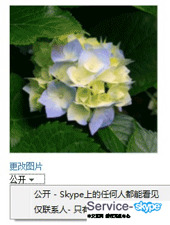設置頭像可見